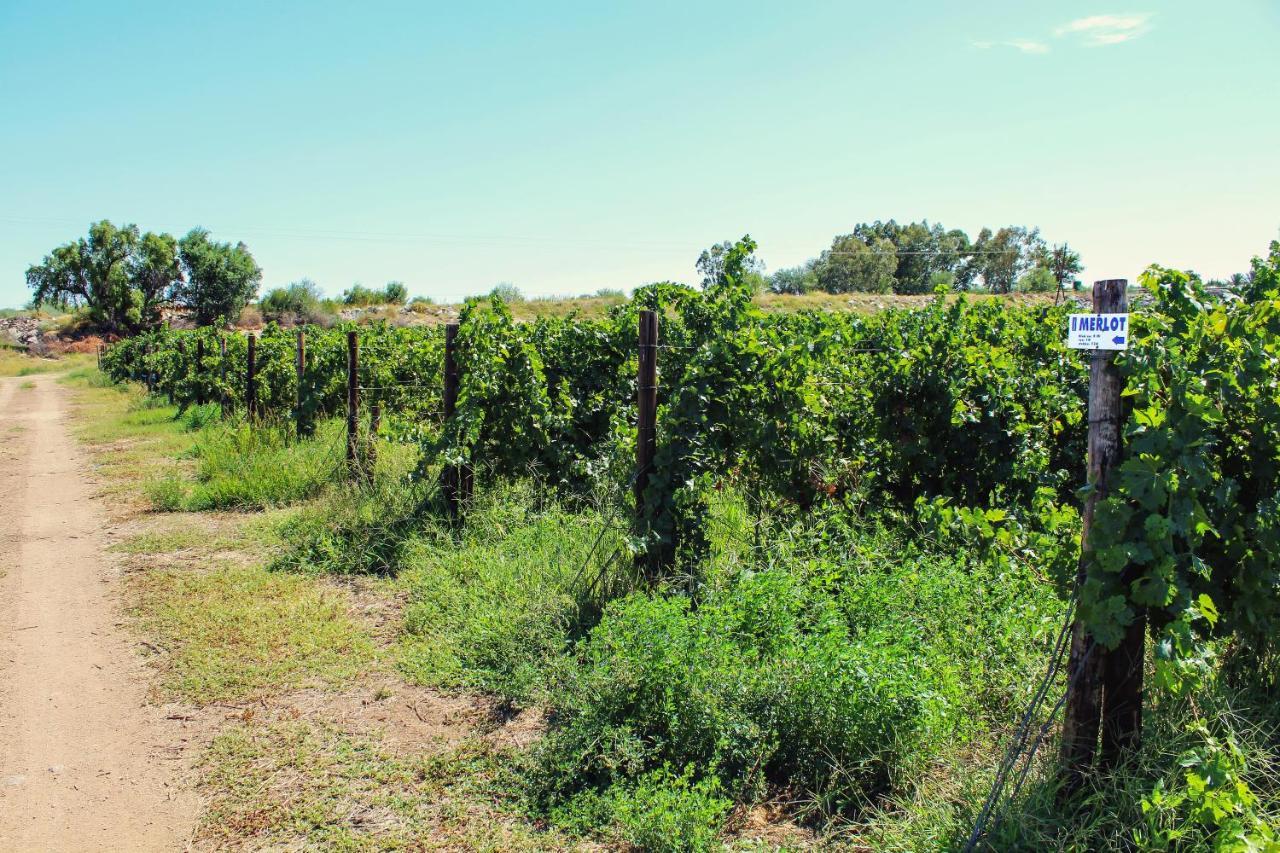 Bezalel Wine & Brandy Estate Vila Kanoneiland Exterior foto